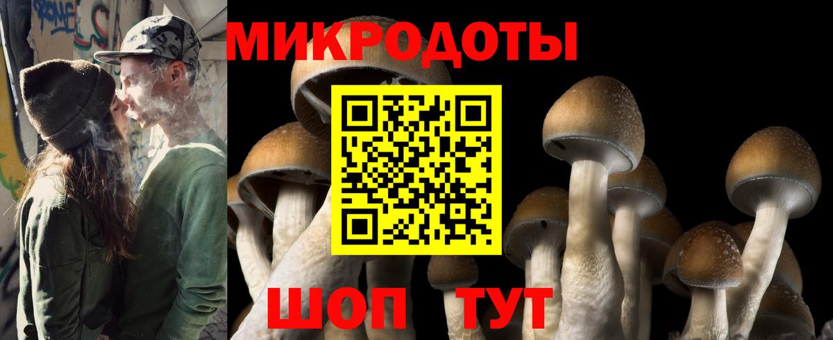 Псилоцибиновые грибы GOLDEN TEACHER  Галлюциногенные грибы мицелий  Вход с VPN  Старая Купавна 